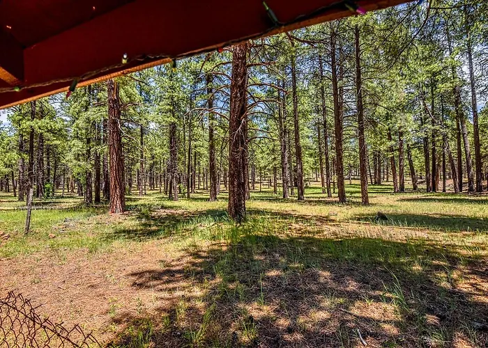 Holiday home Simple And Historic Fishing Log For A Rustic Retreat To Northern Arizona